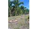 Palm trees in the backyard are carefully placed and surrounded by rocks at 7508 Mikasa Dr, Punta Gorda, FL 33950