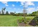 Large grassy backyard with palm trees, green shrubs, and a mulch flower bed at 7765 Grande Shores Dr, Sarasota, FL 34240