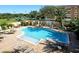 Aerial view of a luxurious pool surrounded by lounge chairs, palm trees, and a manicured landscape at 1064 N Tamiami Trl # 1133, Sarasota, FL 34236