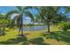 Lush green backyard featuring a serene pond, mature trees, and vibrant landscaping at 14350 Stirling Dr, Lakewood Ranch, FL 34202