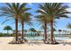 Beautiful community pool area with palm trees, lounge chairs, and splash pad at 14350 Stirling Dr, Lakewood Ranch, FL 34202