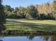 Picturesque golf course view with a green, red flag, and surrounding trees reflected in the calm water at 18106 Canal Pointe St, Tampa, FL 33647