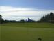 Expansive green golf course with a blue flag marking the hole under a blue sky at 18106 Canal Pointe St, Tampa, FL 33647