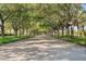 Tree-lined street creating a lush, shaded canopy over the road at 5509 Avellino Pl, Sarasota, FL 34238