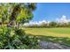 Scenic view of a lush green golf course framed by palm trees and tropical foliage on a sunny day at 8921 Veranda Way # 325, Sarasota, FL 34238