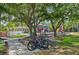 Gathering-friendly playground and bike rack, surrounded by lush trees and landscaping at 12210 Goldenrod Ave, Bradenton, FL 34212