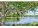 Scenic pond with reflections and lush greenery, creating a tranquil and natural setting at 12210 Goldenrod Ave, Bradenton, FL 34212