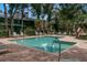 A community pool with brick deck, ladders, and plenty of chairs for relaxing and socializing at 1490 Mahogany Ln # 706, Palm Harbor, FL 34683