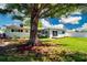 Large backyard with mature tree and green grass, perfect for outdoor living at 2238 Rose St, Sarasota, FL 34239