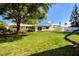 Beautiful backyard featuring a huge tree with lush green grass at 2238 Rose St, Sarasota, FL 34239