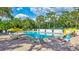 Relaxing pool area with lounge chairs and umbrellas, perfect for enjoying sunny days and unwinding poolside at 4487 Glebe Farm Rd, Sarasota, FL 34235