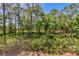 Beautiful backyard view overlooking greenery and the community walkway with trees at 4489 Longmeadow # 74, Sarasota, FL 34235