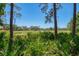 Scenic view of the community golf course with green grass and mature trees on a sunny day at 4489 Longmeadow # 74, Sarasota, FL 34235