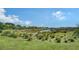 Natural landscape with vibrant greenery and open space, creating a peaceful and scenic environment at 4725 Antrim Dr, Sarasota, FL 34240