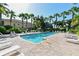 Large community pool with lounge chairs, umbrellas, surrounded by lush tropical landscaping and palm trees at 7983 Limestone Ln # 14-201, Sarasota, FL 34233