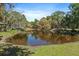 A scenic view of a pond surrounded by lush trees and grass at 8280 Ibis St, Sarasota, FL 34241