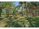 A picturesque view of the wooded property with scattered sunlight at 8280 Ibis St, Sarasota, FL 34241