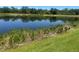 Scenic view of a pond with lush greenery and tranquil water, perfect for nature lovers at 9011 Hammock Edge Pl, Bradenton, FL 34212