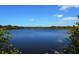 Tranquil water view surrounded by lush greenery, creating a serene and picturesque natural landscape at 9238 13Th Avenue Nw Cir, Bradenton, FL 34209