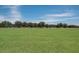 Large community green space featuring manicured lawns and mature trees, perfect for outdoor activities and relaxation at 12005 Summer Meadow Dr, Lakewood Ranch, FL 34202