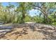 Spacious backyard with scattered shade, various foliage and tropical plants at 2315 Mcclellan Pkwy, Sarasota, FL 34239