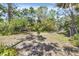 Expansive backyard featuring tropical plants, scattered trees, and plenty of sunshine at 2315 Mcclellan Pkwy, Sarasota, FL 34239