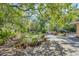 Expansive backyard featuring mature trees and garden with potted plants at 2315 Mcclellan Pkwy, Sarasota, FL 34239
