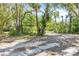 Wooded backyard featuring an array of mature trees and tropical plants at 2315 Mcclellan Pkwy, Sarasota, FL 34239
