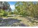 A spacious backyard with bamboo plants, shade trees, and a charming bench at 2315 Mcclellan Pkwy, Sarasota, FL 34239