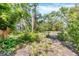 Lush backyard showcasing an array of tropical plants, shrubbery, and trees at 2315 Mcclellan Pkwy, Sarasota, FL 34239
