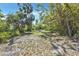 Spacious backyard featuring scattered shade, and various tropical plants at 2315 Mcclellan Pkwy, Sarasota, FL 34239