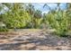 Landscaped backyard featuring trees, palm trees, space for outdoor seating and lounging at 2315 Mcclellan Pkwy, Sarasota, FL 34239