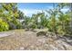 An expansive backyard offering plenty of space for recreation with a few trees at 2315 Mcclellan Pkwy, Sarasota, FL 34239