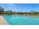 Enjoy a refreshing dip in the community pool surrounded by lush greenery under a clear blue sky at 3847 Little Country Rd, Parrish, FL 34219