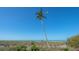 Scenic view of the beach featuring a swaying palm tree against a clear blue sky at 6951 Gulf Of Mexico Dr # 14, Longboat Key, FL 34228