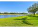 Lush green backyard leading to a beautiful lake and golf course at 7441 Myrica Dr, Sarasota, FL 34241