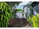 Backyard storage shed surrounded by lush landscaping and wood mulch at 1108 65Th W Ave, Bradenton, FL 34207