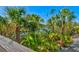 Scenic view from a wooden deck, showcasing lush tropical greenery and glimpses of the water at 234 85Th St, Holmes Beach, FL 34217