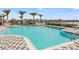 A lovely community pool and sundeck area with several lounge chairs and palm trees nearby at 2812 Rock Sound St, Bradenton, FL 34208