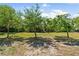 Scenic vacant lot with scattered trees, offering a serene and private setting for building at 2840 S Shade Ave, Sarasota, FL 34239