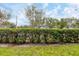 Green hedge row providing a well manicured privacy screen for this property, set under a sky of scattered clouds at 3251 Beneva Rd # 104, Sarasota, FL 34232