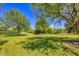 Expansive backyard featuring mature trees, lush green grass, and well-maintained landscaping at 3432 Founders Club Dr, Sarasota, FL 34240