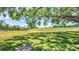 Lush backyard featuring a scenic green space with a building far away, a large shade tree, and open sky at 3916 Chatsworth Greene # 3, Sarasota, FL 34235