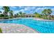 An aerial view of a large community pool surrounded by lush landscaping and ample seating at 4010 Lindever Ln, Palmetto, FL 34221