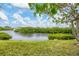 Calm water view surrounded by lush mangroves providing a peaceful natural landscape at 1156 Lemon Bay Dr, Venice, FL 34293
