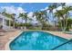 Community pool and sundeck surrounded by lush palm trees and manicured landscaping at 1280 Dolphin Bay Way # 503, Sarasota, FL 34242
