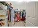 Organized walk-in closet with shelving, hanging rods, and storage for clothing and accessories at 16341 Little Garden Dr, Wimauma, FL 33598