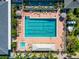 Inviting outdoor pool area featuring lounge chairs, umbrellas, a spa, and well-manicured landscaping for relaxation at 1712 Starling Dr # 101, Sarasota, FL 34231
