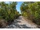 Gravel community walking path framed by lush, mature trees provides a peaceful outdoor experience for residents at 1712 Starling Dr # 101, Sarasota, FL 34231