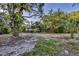 View of the backyard with trees and grass at 4823 Linwood St, Sarasota, FL 34232